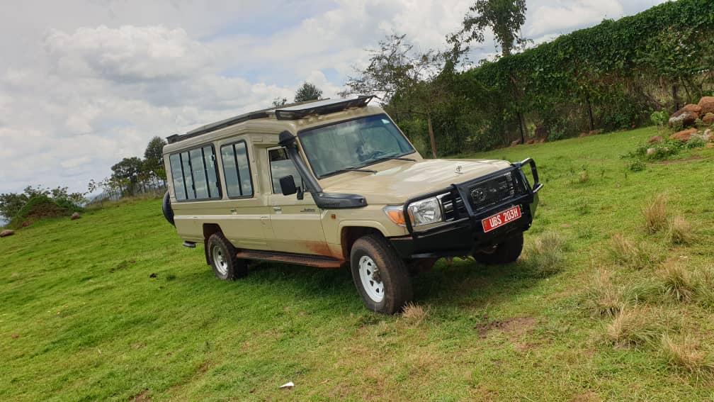 safari landcruiser