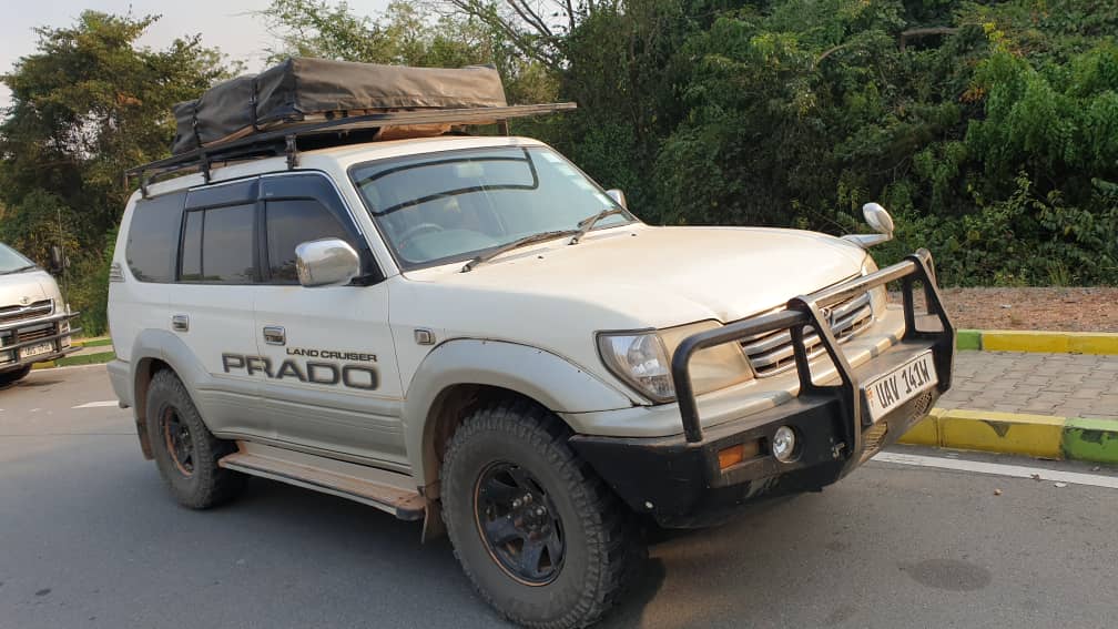 Safari in Uganda & Rwanda