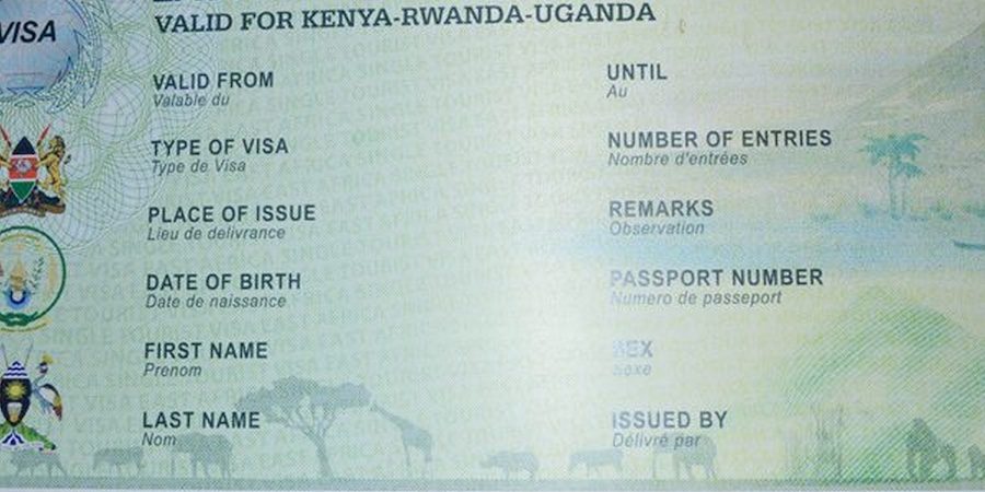Ultimate Guide to the East Africa Tourist Visa