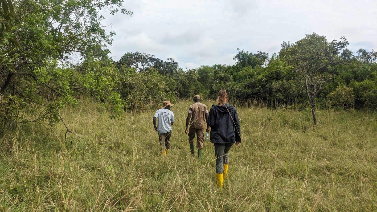 Top Reasons to Hire a Safari Guide-Car Rental Uganda