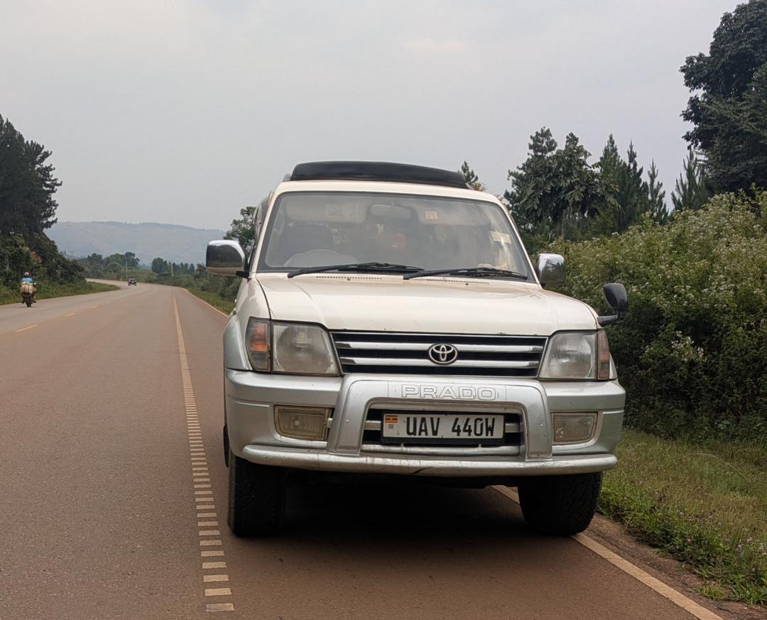 Self-Drive- Car Rental