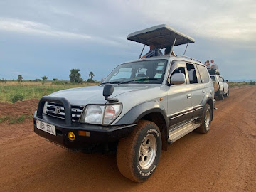 4x4 Rooftop