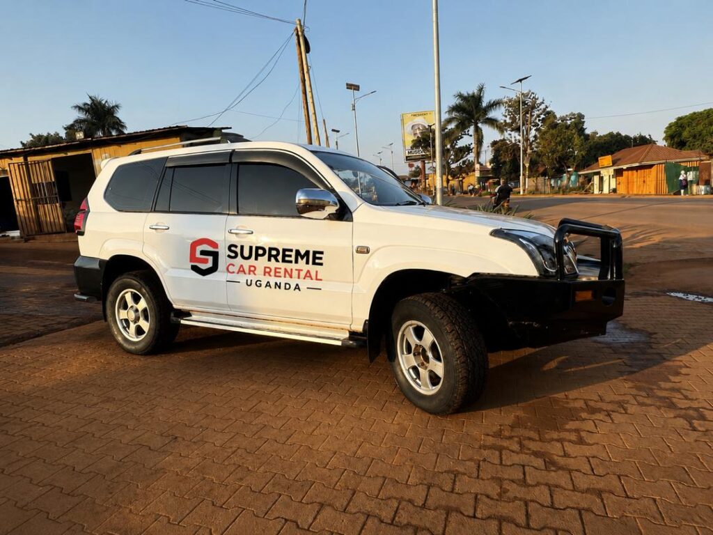 Self Drive Car Hire