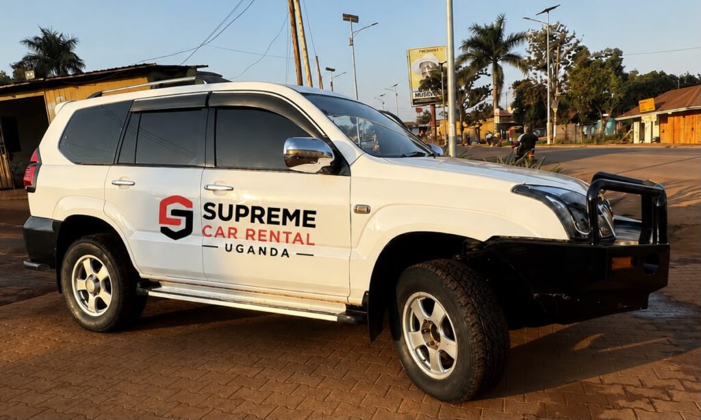 Self Drive Car Hire