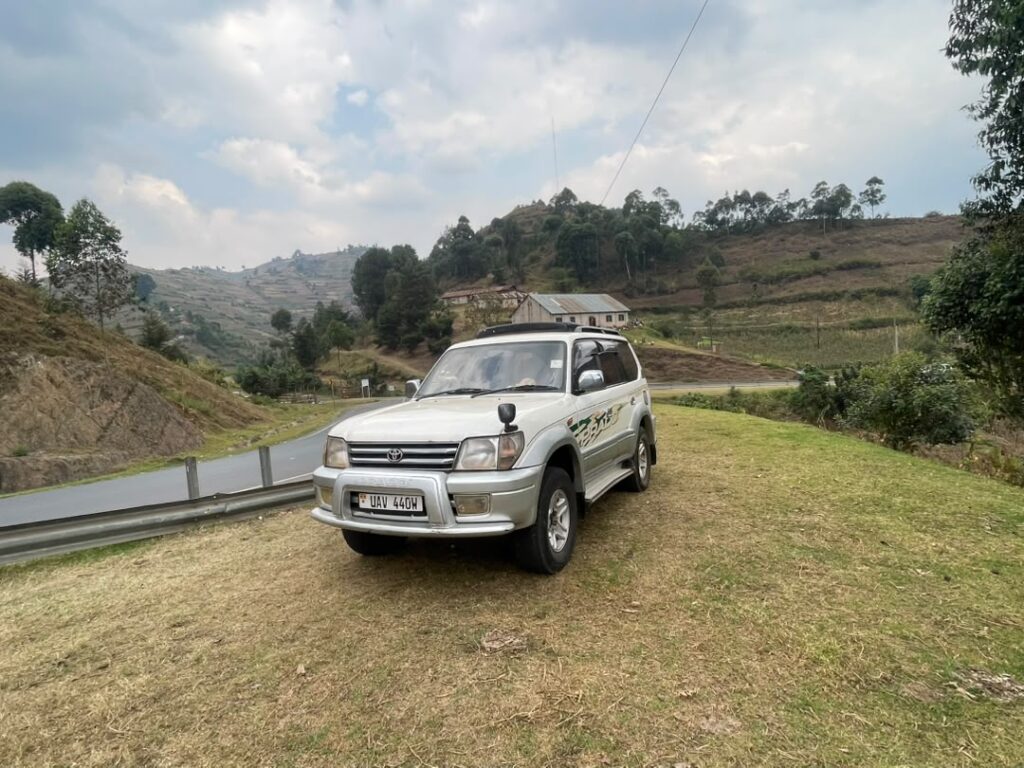 Monthly Car Rental 
