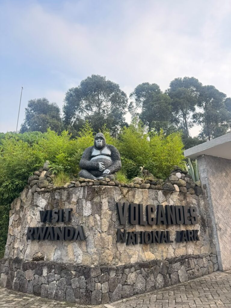 Kampala to Kigali Road Trip